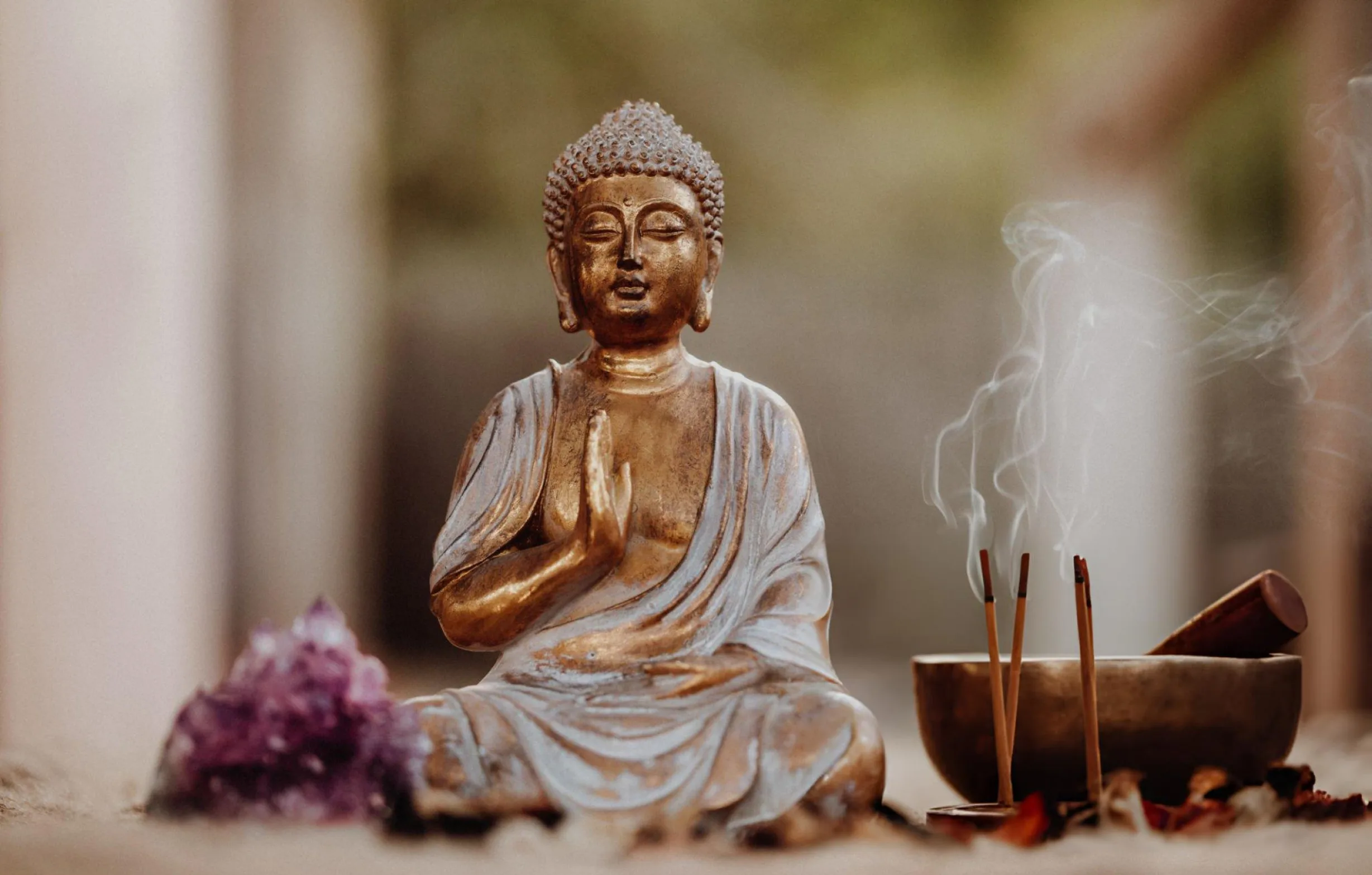 बुद्ध अमृतवाणी (BUDDHA AMRiTWANI PDF)